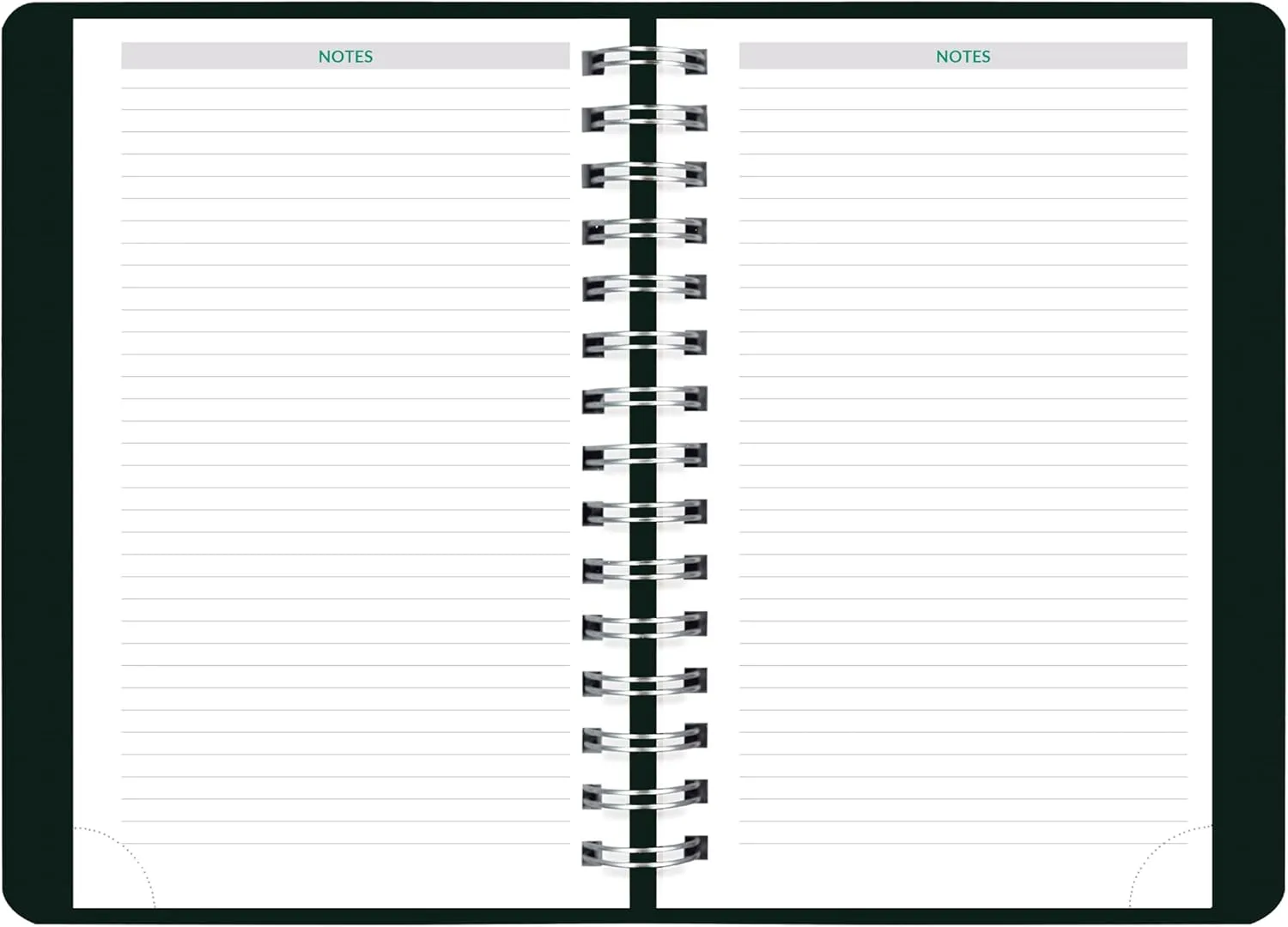 Brownline® 2025 EcoLogix® Daily Planner, Appointment Book, 12 Months, January to December, Twin-Wire Binding, 8" x 5", Black, Recycled (CB410W.BLK-25)