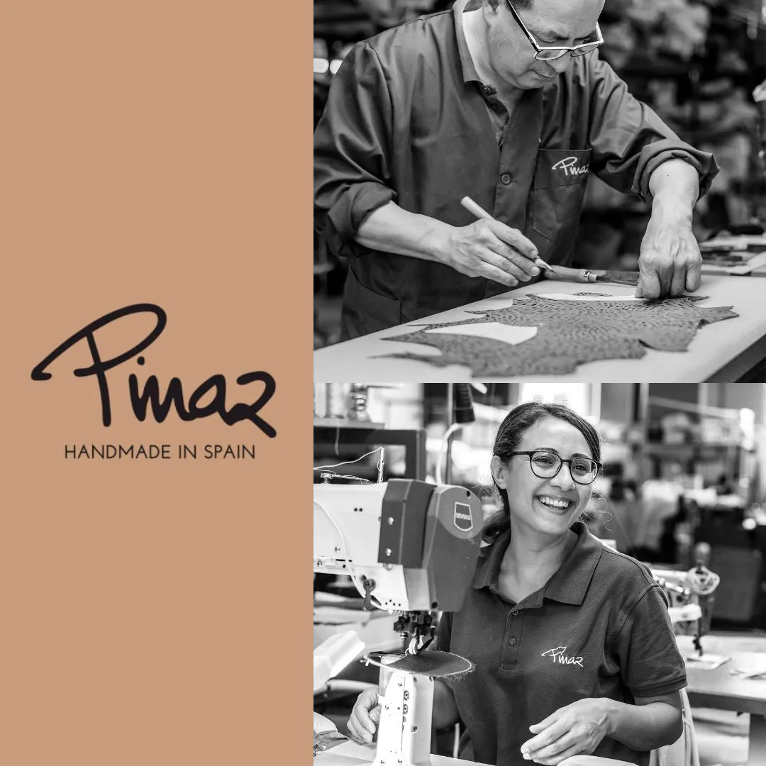 Pinaz 479