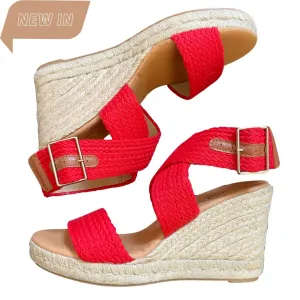 Pinaz 479
