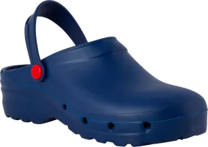 Unisex Light Shock Clog, blue, 10