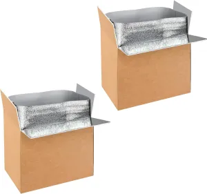 YSSOA 2 Pack Insulated Shipping Boxes with Aluminum Foil Liner,Thermal Insulation Cold Pack Shipping Boxes for Frozen, Reusable Styrofoam Cooler Box, Small Mailing Box, 19''x12''x16''
